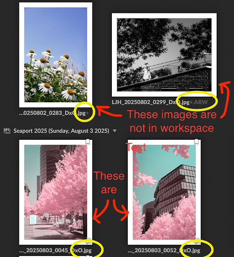 Screenshot 2025-12-06 at 10.59.08 AM